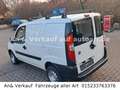 Fiat Doblò 1.3 JTD SX Kasten Tüv neu Bianco - thumbnail 5