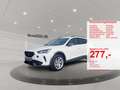 CUPRA Formentor 1.5 TSI ACC AUT DynLicht Fernlichtass. Weiß - thumbnail 1