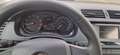 Skoda Fabia Fabia Combi 1.0 MPI Cool Plus Grau - thumbnail 6