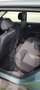 Ford Mondeo 1.8 Turnier Ambiente - thumbnail 9