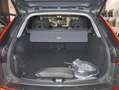 Volvo XC60 T6 AWD Geartr. Plus Dark Grün - thumbnail 8