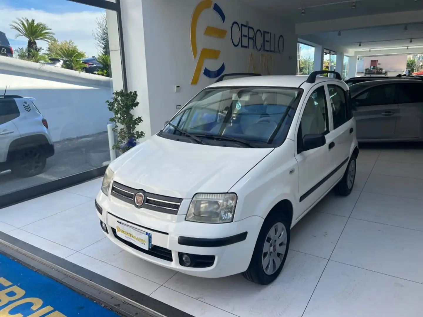 Fiat Panda 1.2 dynamic Natural Power Bianco - 2