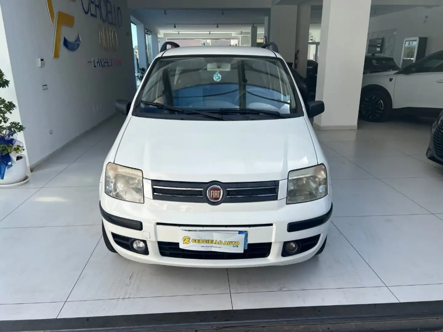 Fiat Panda 1.2 dynamic Natural Power Bianco - 1