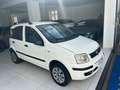 Fiat Panda 1.2 dynamic Natural Power Bianco - thumbnail 5