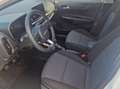 Kia Picanto SILBER 1,0 GDI MT5 67 MY26 Weiß - thumbnail 7