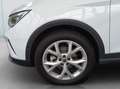 SEAT Arona ARONA 1,0 TSI Sport, DSG, 115 PS, Navi, LED, Weiß - thumbnail 8