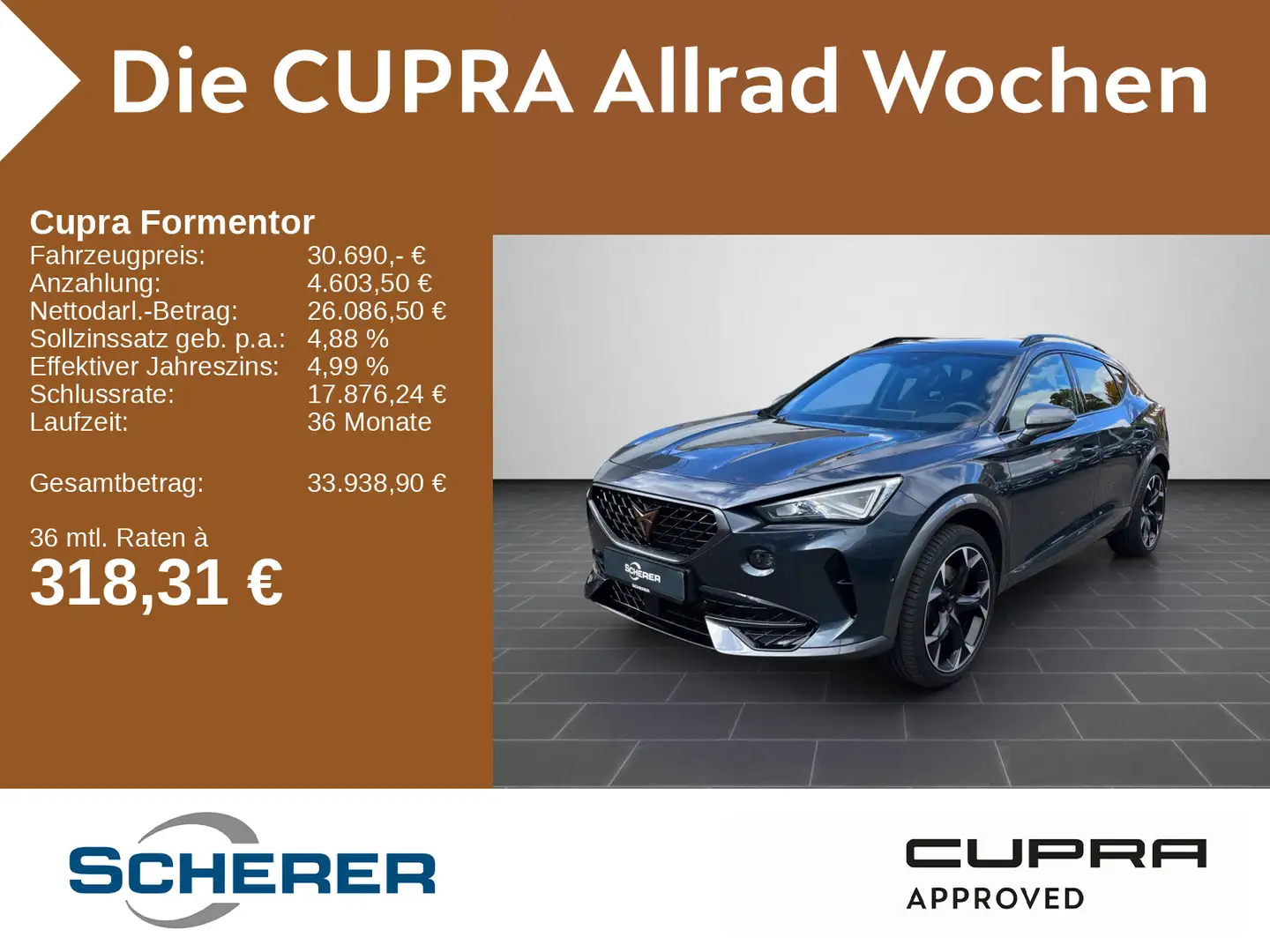 CUPRA Formentor VZ 2.0 TSI 4Drive DSG Rückfahrkamera C Grau - 1