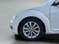 Volkswagen Beetle 1.6TDI Design 105 Blanco - thumbnail 23