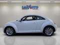Volkswagen Beetle 1.6TDI Design 105 Blanco - thumbnail 2
