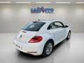 Volkswagen Beetle 1.6TDI Design 105 Blanco - thumbnail 5