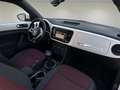 Volkswagen Beetle 1.6TDI Design 105 Blanco - thumbnail 10