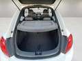 Volkswagen Beetle 1.6TDI Design 105 Blanco - thumbnail 22