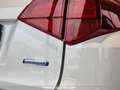 Suzuki Vitara 1.4 Hybrid Cool+ Bianco - thumbnail 7