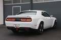 Dodge Challenger 3.6 4x4 WideBody/ALPINE/SHZ/SBL/TOTW Weiß - thumbnail 5