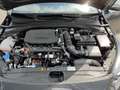 Kia Ceed SW / cee'd SW 1.5 T-GDI 48V DCT ULTIMATE Style-Paket Apple CarPl Nero - thumbnail 14