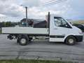 Hyundai H 350 2.5 CRDi Weiß - thumbnail 2