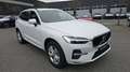 Volvo XC60 II Core, B4 Mild-Hybrid, Benzin Blanc - thumbnail 6