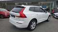 Volvo XC60 II Core, B4 Mild-Hybrid, Benzin Blanc - thumbnail 7