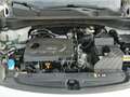 Kia Sportage 1.7 crdi Class Style Pack 2wd 141cv CAMBIO AUTOM. Bianco - thumbnail 14