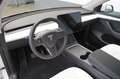 Tesla Model Y Performance *innen weiß*1.Hand* Silber - thumbnail 12