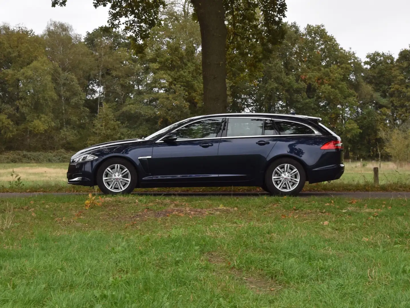 Jaguar XF 2.2D Bleu - 1