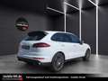 Porsche Cayenne Diesel Platinum Edition*PANO*KAMERA*AHK* bijela - thumbnail 6