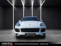 Porsche Cayenne Diesel Platinum Edition*PANO*KAMERA*AHK* bijela - thumbnail 2