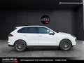 Porsche Cayenne Diesel Platinum Edition*PANO*KAMERA*AHK* bijela - thumbnail 7