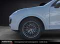 Porsche Cayenne Diesel Platinum Edition*PANO*KAMERA*AHK* bijela - thumbnail 25