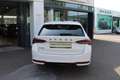 Skoda Octavia Sportline TSI mHEV DSG Weiß - thumbnail 5