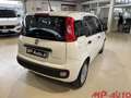 Fiat Panda 1.0 FireFly 70cv S&S Hybrid Weiß - thumbnail 5