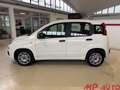 Fiat Panda 1.0 FireFly 70cv S&S Hybrid Weiß - thumbnail 7