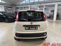 Fiat Panda 1.0 FireFly 70cv S&S Hybrid Weiß - thumbnail 6