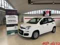 Fiat Panda 1.0 FireFly 70cv S&S Hybrid Weiß - thumbnail 1