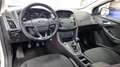 Ford Focus Focus IV 2015 SW SW 1.5 tdci Plus s Gris - thumbnail 13