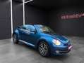 Volkswagen Beetle Cabriolet Allstar BMT/Kamera/Navi/Sitzhzg Blau - thumbnail 4