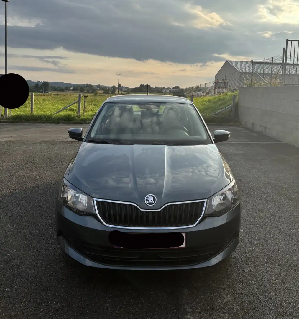 Skoda Fabia Fabia Combi 1.0 TSI 95 ch BVM5 Clever Gris - 1