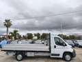 Fiat Ducato DUCATO 35 2.3 MJT 130CV CASSONE FISSO LUNGO Blanc - thumbnail 4