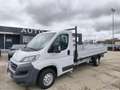 Fiat Ducato DUCATO 35 2.3 MJT 130CV CASSONE FISSO LUNGO Blanc - thumbnail 1