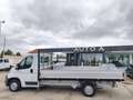 Fiat Ducato DUCATO 35 2.3 MJT 130CV CASSONE FISSO LUNGO Blanc - thumbnail 9