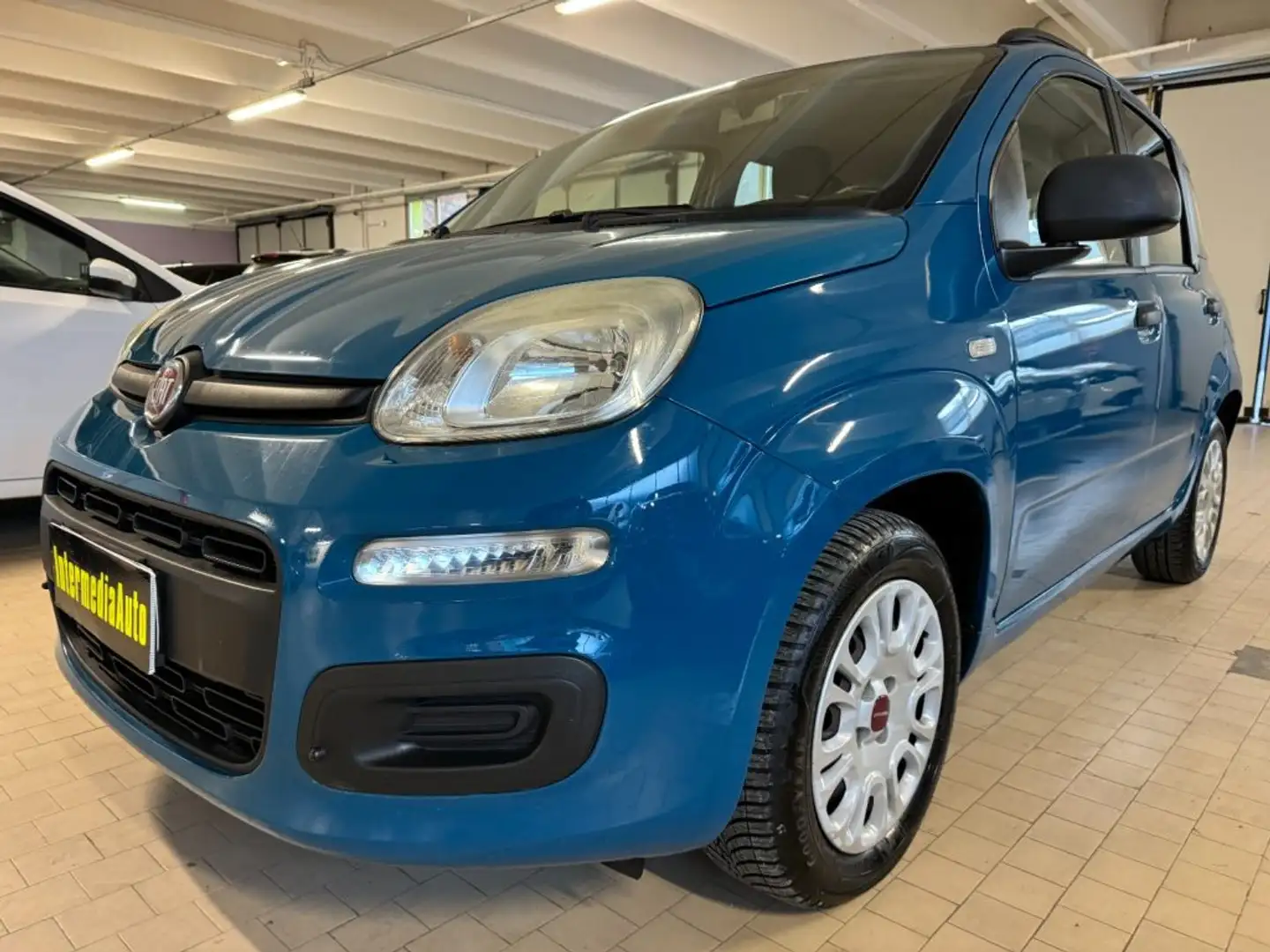 Fiat Panda 1.2 Easy Neopatentati Bleu - 1