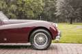 Jaguar XK 140 DHC Automatic Rot - thumbnail 39