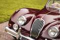Jaguar XK 140 DHC Automatic Rosso - thumbnail 6
