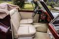 Jaguar XK 140 DHC Automatic Rot - thumbnail 17