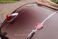 Jaguar XK 140 DHC Automatic Rot - thumbnail 48