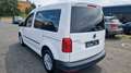 Volkswagen Caddy PKW BMT 1.Hand Blanco - thumbnail 5