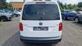 Volkswagen Caddy PKW BMT 1.Hand Blanco - thumbnail 6