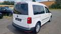 Volkswagen Caddy PKW BMT 1.Hand Blanco - thumbnail 7
