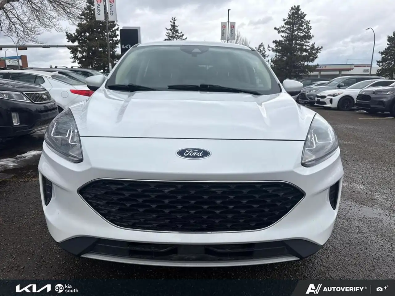 Ford Escape снимка Ford Escape