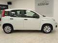 Fiat Panda Panda III 2016 1.2 Easy 69cv Blanc - thumbnail 6